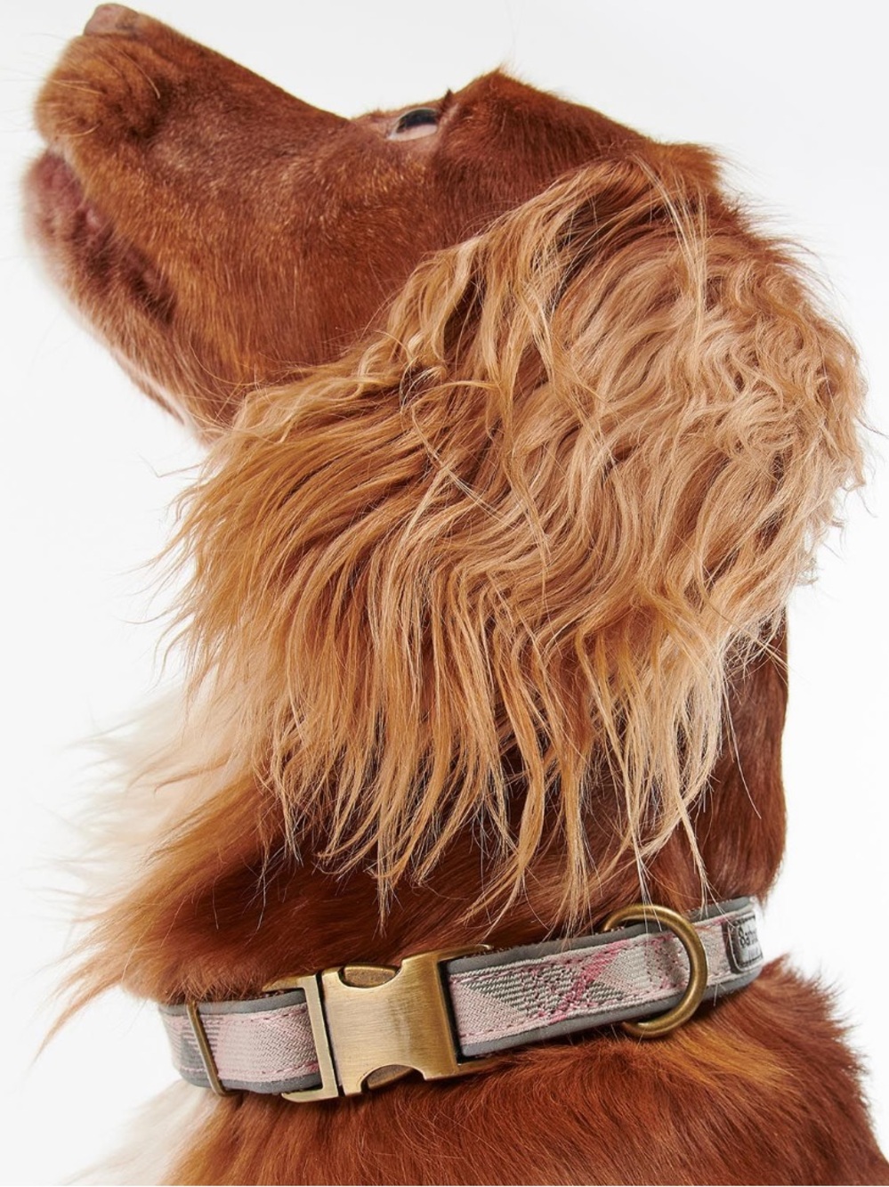 Barbour Reflective Dog Collar Taupe/Pink Tartan L